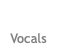 Alex Vocals